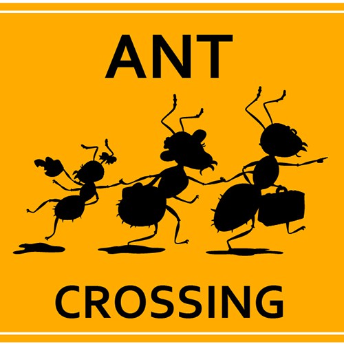 Ant design with the title 'Pest Services Illustration'