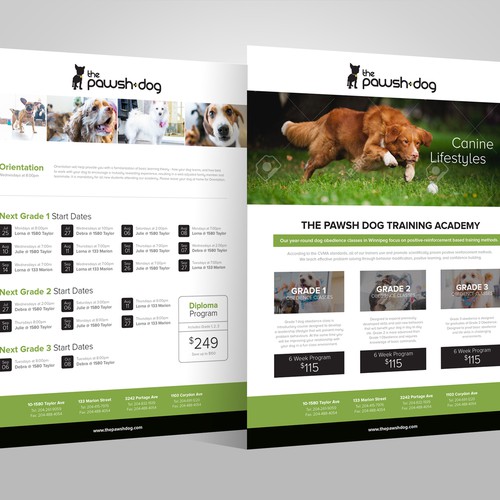 Whitespace design with the title 'The Pawsh Dog Academy Summer Class Schedule'