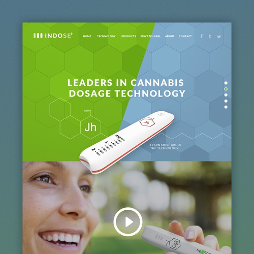 Modern website with the title 'INDOSE'
