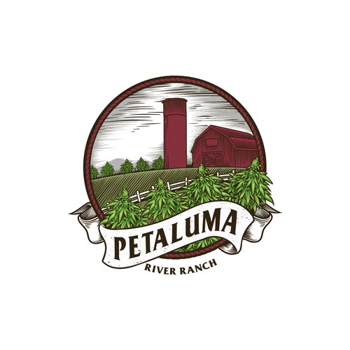 Art label with the title 'Petaluma ranch label design'