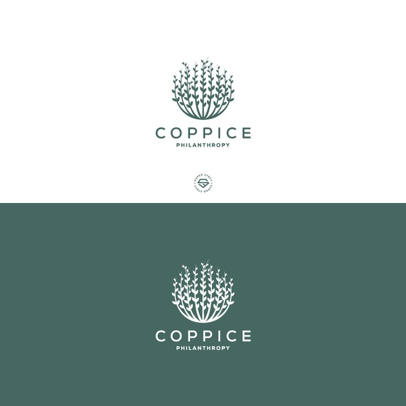 Earth logo with the title 'Coppice Philanthropy'