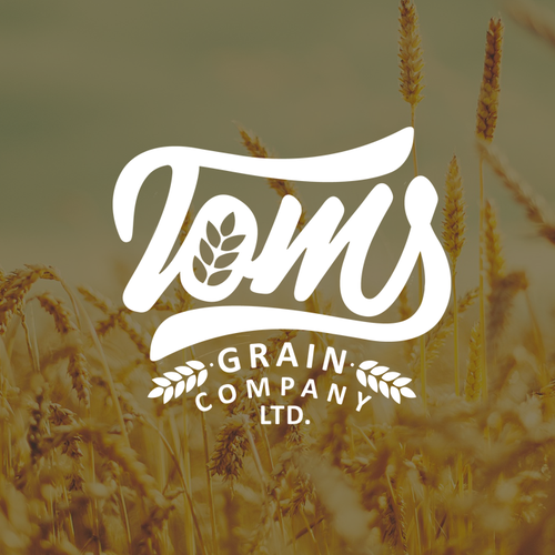 Grain design with the title 'Logo concept for agriculture company.'
