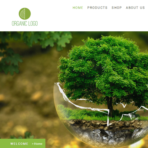 Page design with the title 'Website'