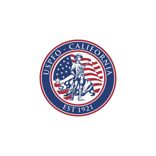 American flag logo with the title 'Logo entry'