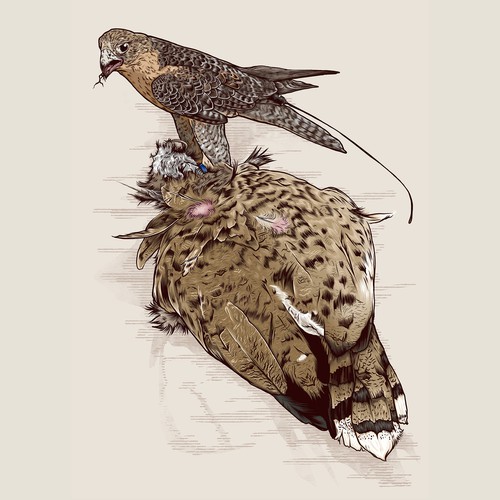 Hunter design with the title 'Hawk Hunter'