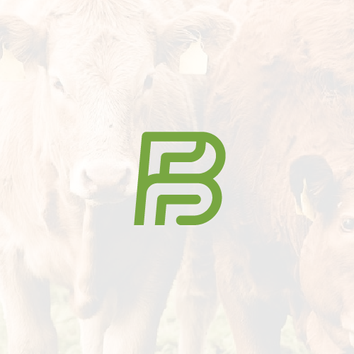 B brand with the title 'B BF BFF monogram'