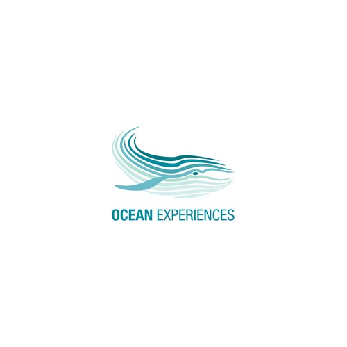 Underwater design with the title 'OCEAN EXPERIENCES'