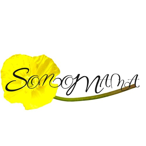 STEM logo with the title 'Logo Design for Shop'