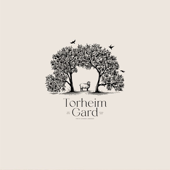 Illustration brand with the title 'Brand identity design for Torheim Gard'