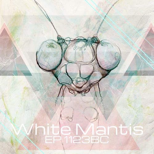 Insect design with the title 'Album Cover White Mantis'