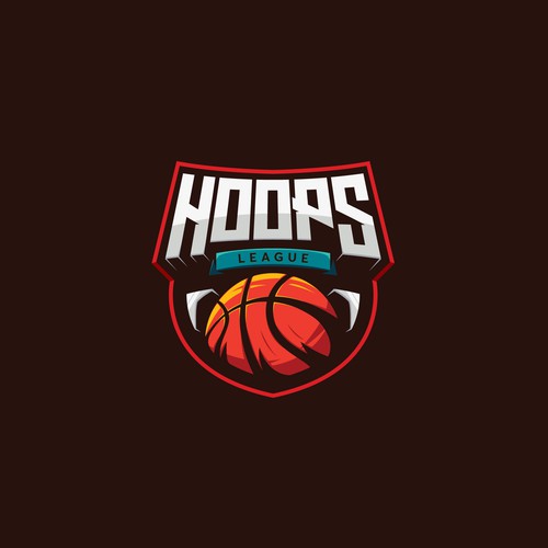 Discover logo with the title 'HOOPS LEAGUE'