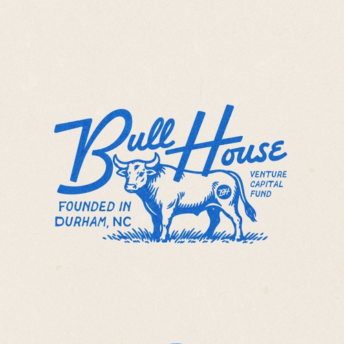 Logo with the title 'Visual Identity for BullHouse'