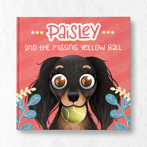 Book illustration artwork with the title 'Paisley and the Missing Yellow Ball Book'