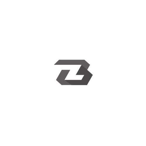 Solid logo with the title 'Bravo Zulu Logo Proposal'