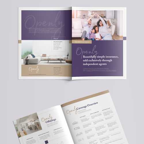 Insurance design with the title 'Marketing brochure for premium insurance company'