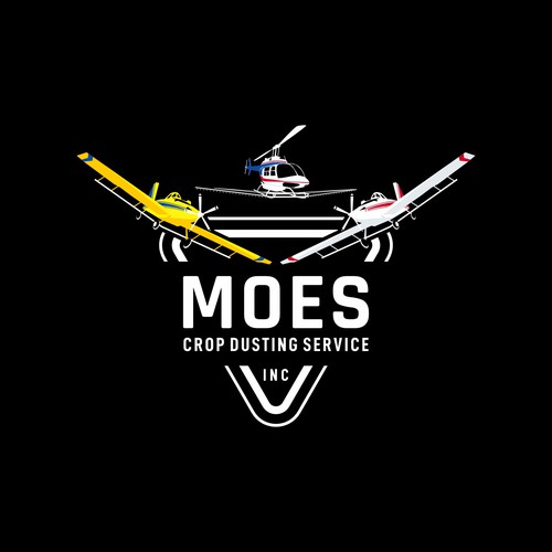 Aircraft logo with the title 'MOES'