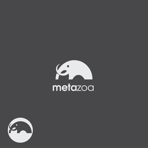 Management brand with the title 'Logo concept for Metazoa'