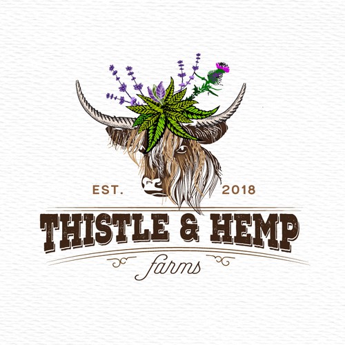 Moo logo with the title 'Thistle and hemp logo design'