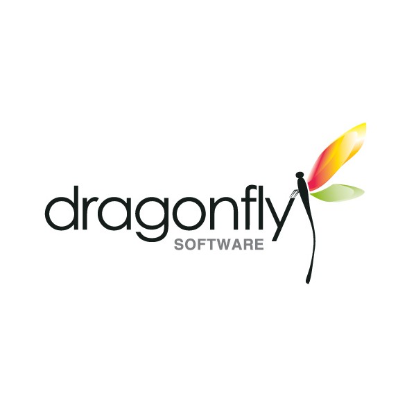 Butterfly logo with the title 'DRAGONFLY LOGO'