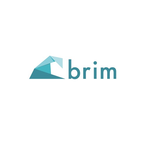 Tourism brand with the title 'Brim logo design'