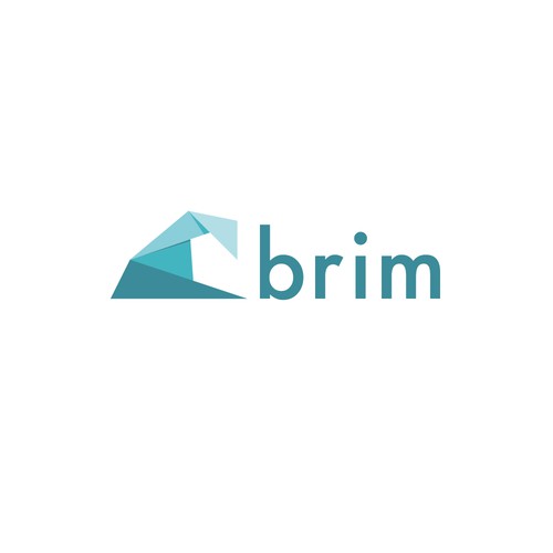 Environmental brand with the title 'Brim logo design'
