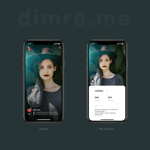 Profile design with the title 'Online chat, both private and public, thru text messages and video'