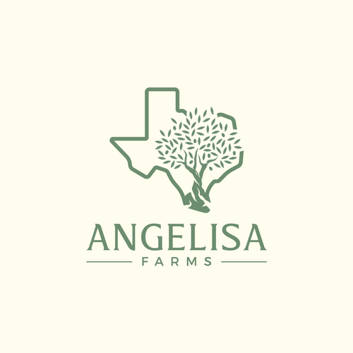 Texas logo with the title 'Angelisa Farms Olive Orchard'