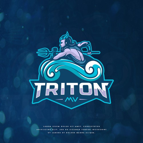 Logo with the title 'Triton MV'