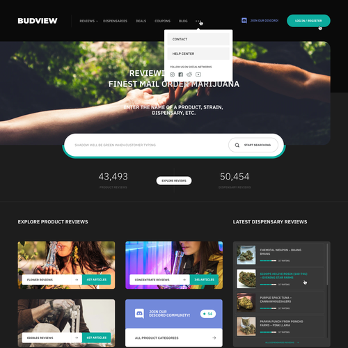 Review design with the title 'BUDVIEW'