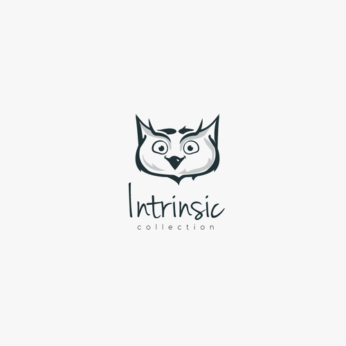 Owl logo with the title 'Intrinsic Collection'