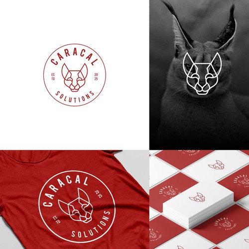 Cat brand with the title 'Caracal'