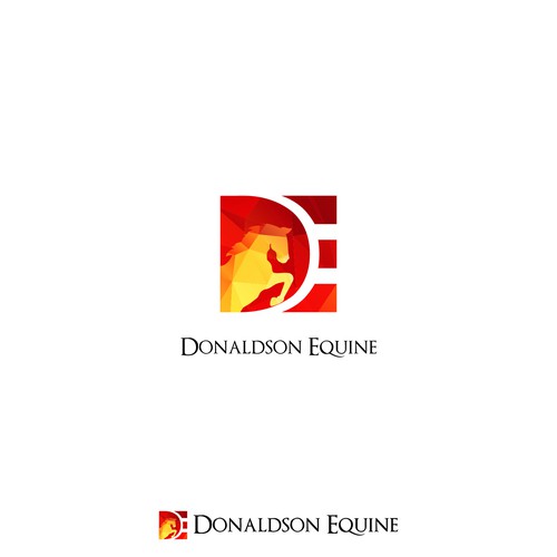 Rehab logo with the title 'Donaldson Euine'