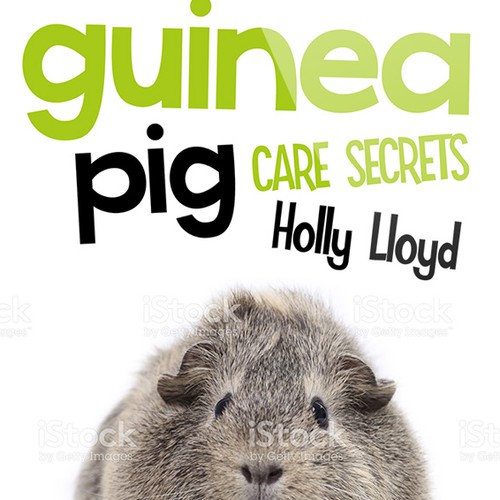 Photo editing design with the title 'Guinea Pig Care Secrets Book Cover'