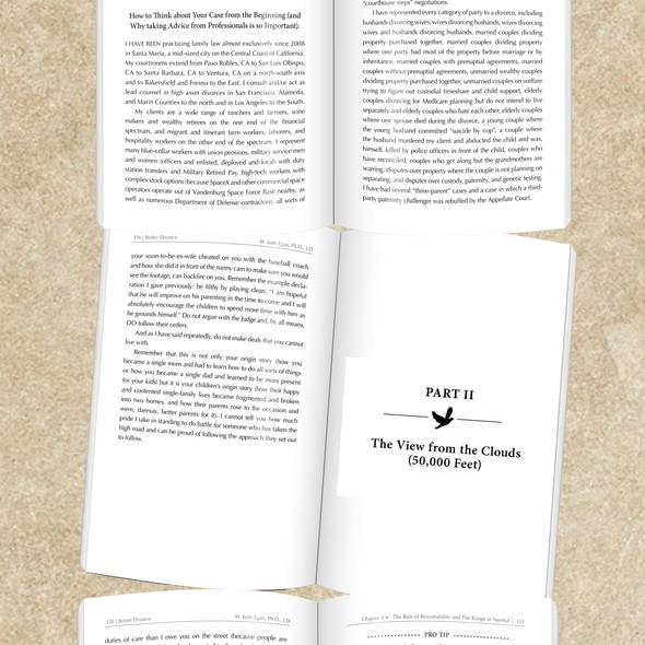 Legal design with the title 'Guide to a better divorce'