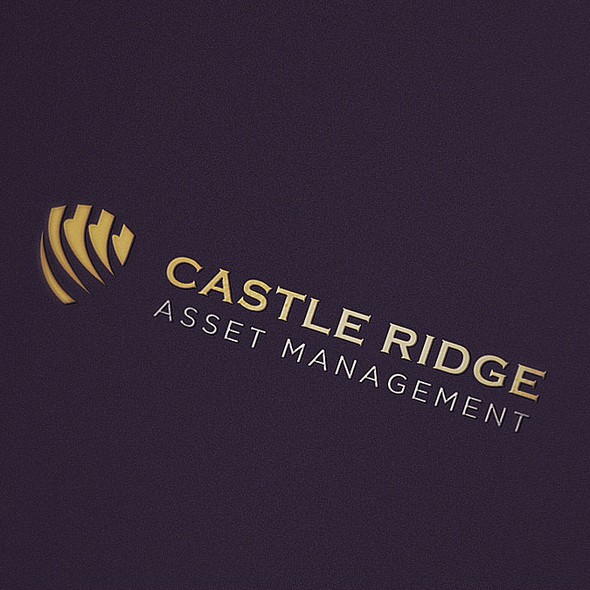 Ridge logo with the title 'Asset management Logo'