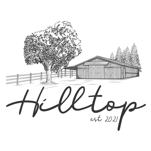 Digital art logo with the title 'Hilltop'