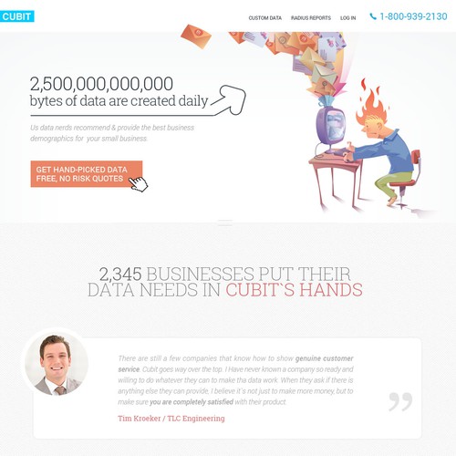Infographic website with the title 'Flat Home Page Design for Plucky Data Consultants'