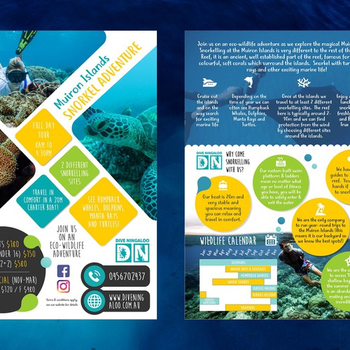 Underwater design with the title 'Wildlife Adventure Pamphlet'