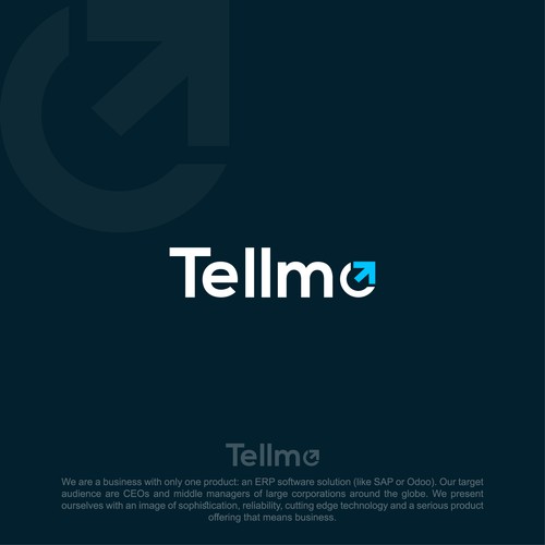 CEO logo with the title 'A modern logo for an enterprise software company that means serious business'