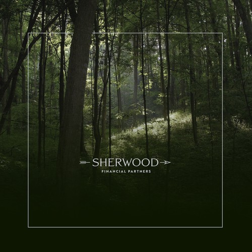 Timeless brand with the title 'Financial Logo'