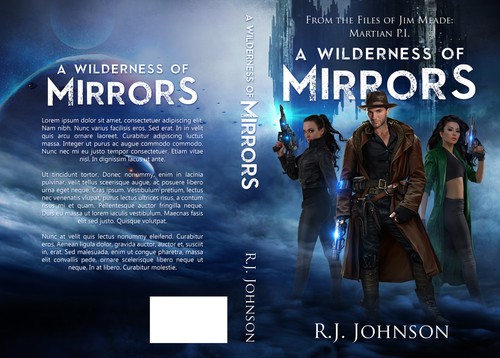 Fantasy book cover with the title 'Jim Meade: A Wilderness of Mirrors'