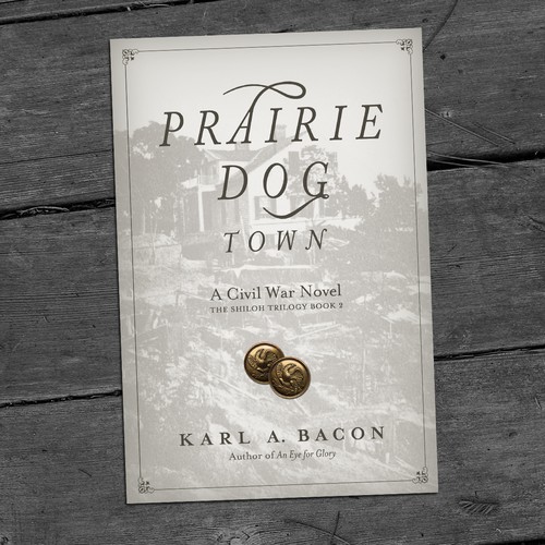 Classic book cover with the title 'Series Book Cover'