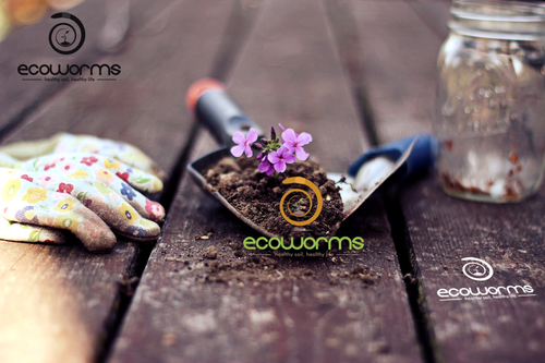 Harvest logo with the title 'ecoworm'