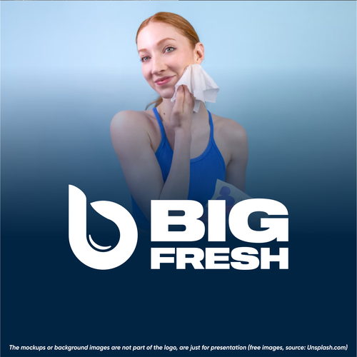 Geometric logo with the title 'BIG FRESH'