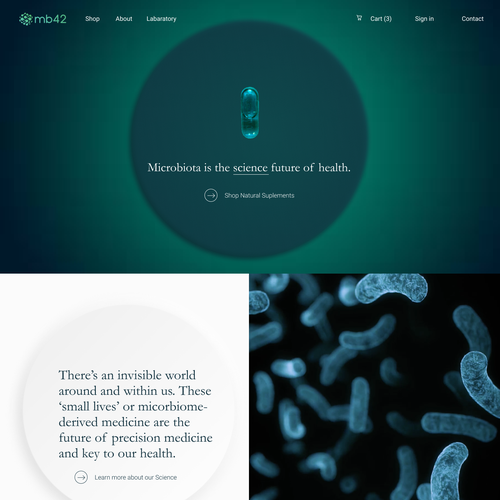 Gradient website with the title 'One page simple website for a Macrobiotic supplements brand '