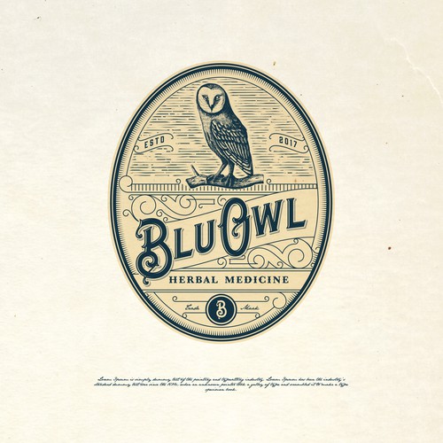 Steampunk design with the title 'BLUE OWL LOGO PROPOSAL'