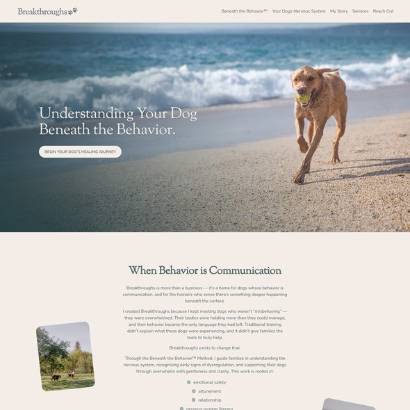 Pet design with the title 'Breakthrough Dogs'