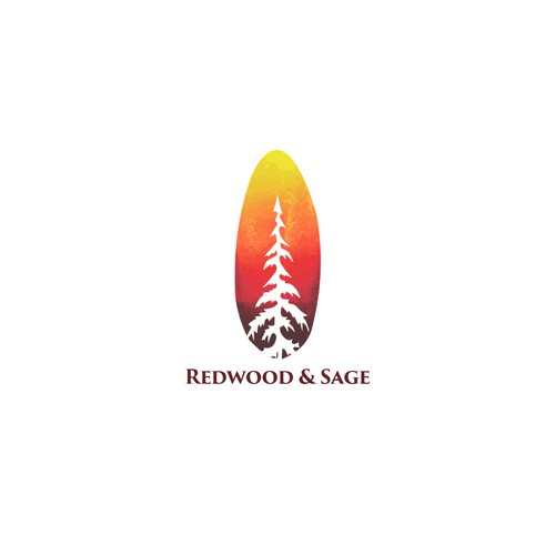 Sage logo with the title 'Logo design concept for Redwood & Sage'