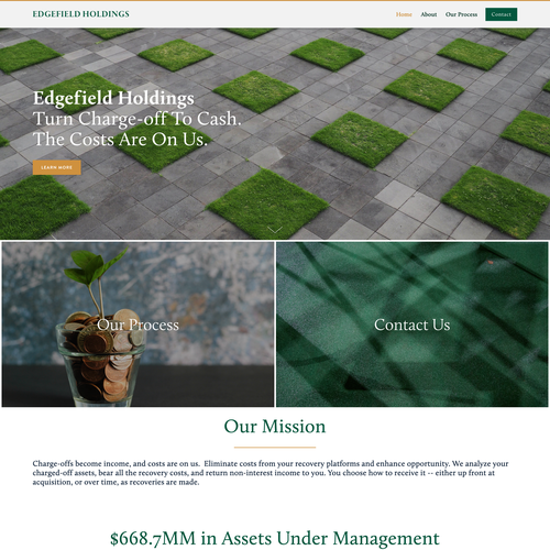 Consultant website with the title 'Professional Financial Squarespace Design '