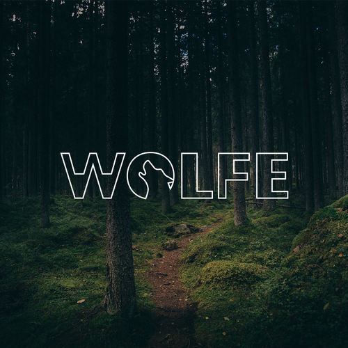 Electronics logo with the title 'WOLFE'